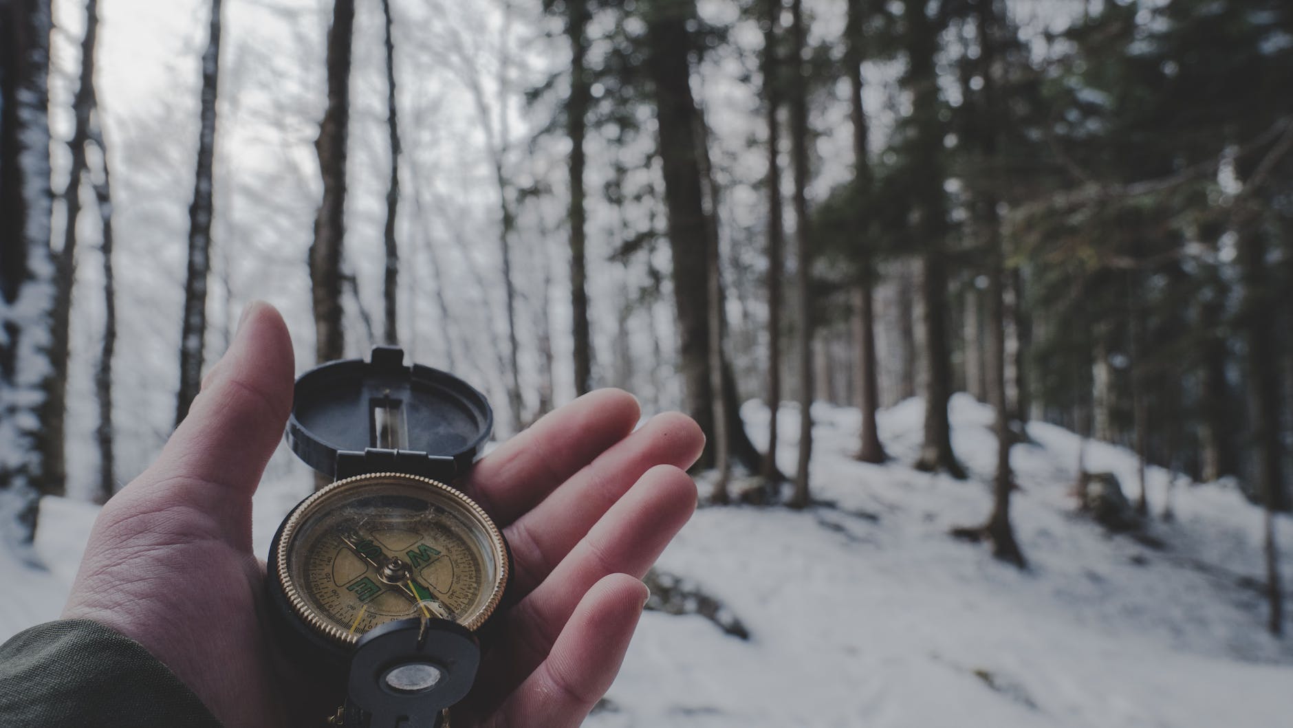 person holding compass in forest
