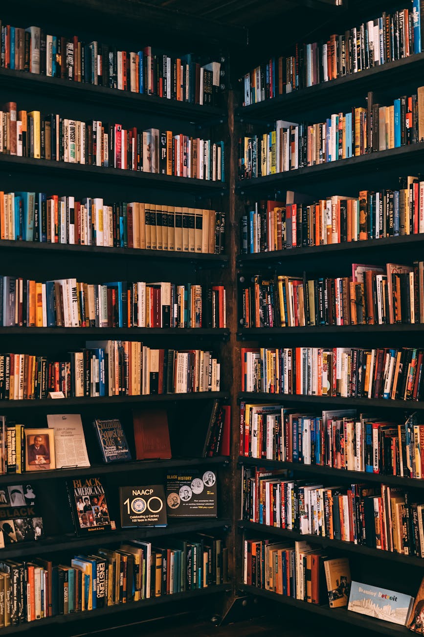 books filed neatly on shelves