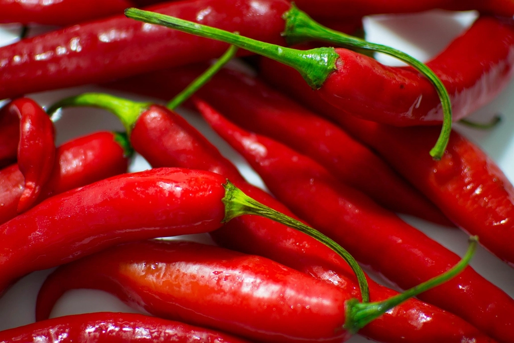 Free red chilli pepper close